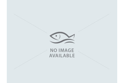 Premium Mutton Fat - mutton-450g-pack